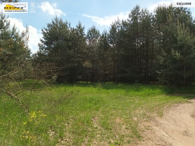 Działka rolna Binowo. Zdjęcie 5