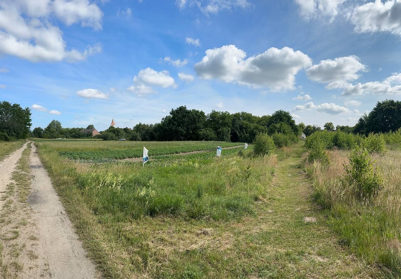 Działka budowlana Strzegów. Zdjęcie 14