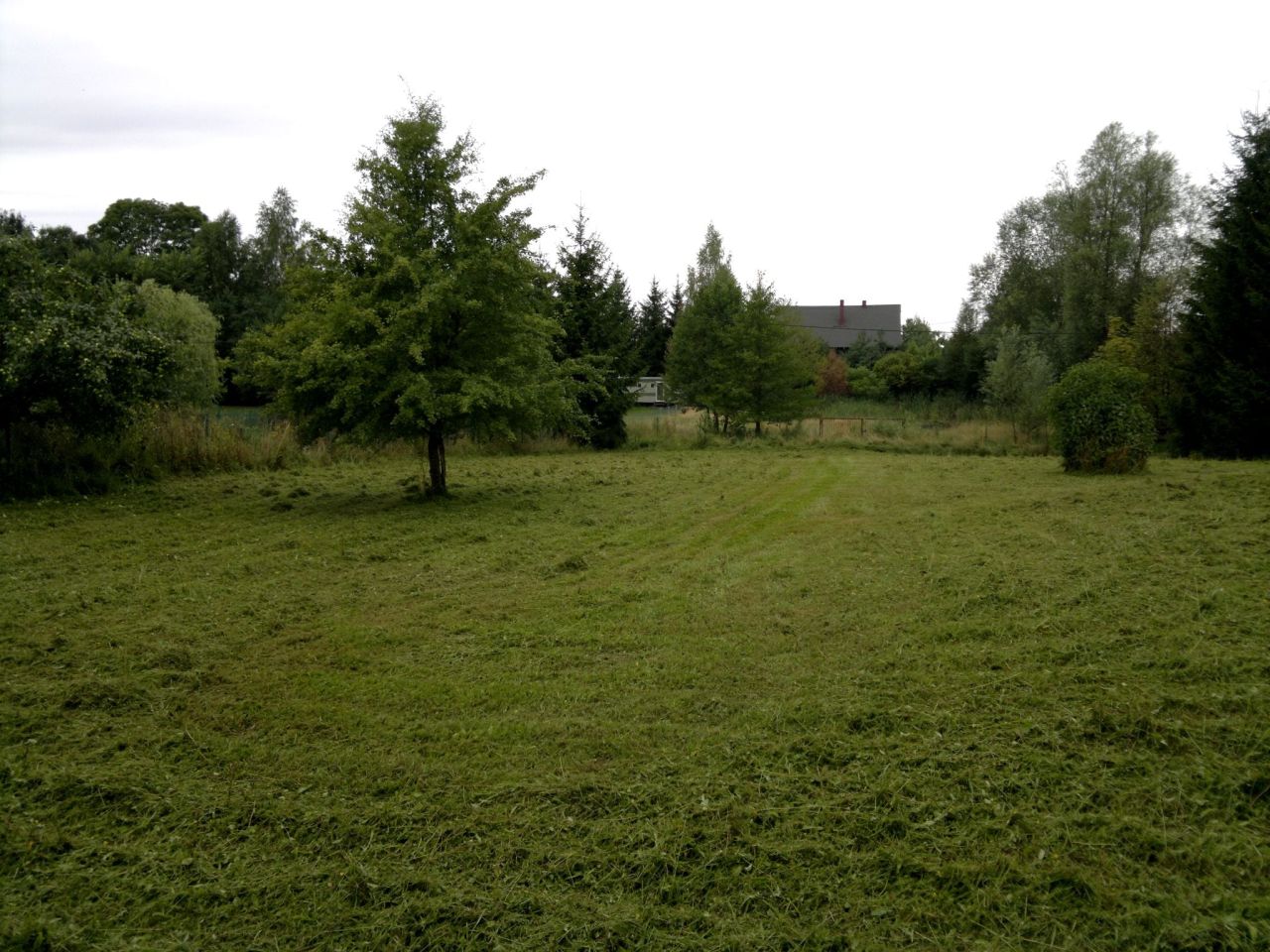 Działka rekreacyjna Sajzy. Zdjęcie 1