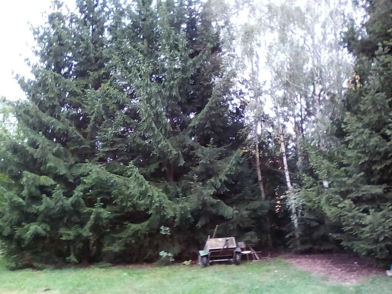 dom wolnostojący Stary Wielisław. Zdjęcie 5