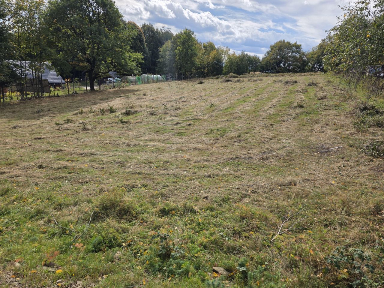 Działka budowlana Targoszów Podbucznik. Zdjęcie 8