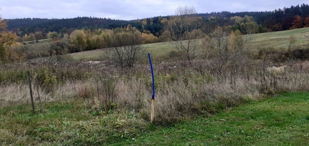 Działka Bereżnica Wyżna. Zdjęcie 6