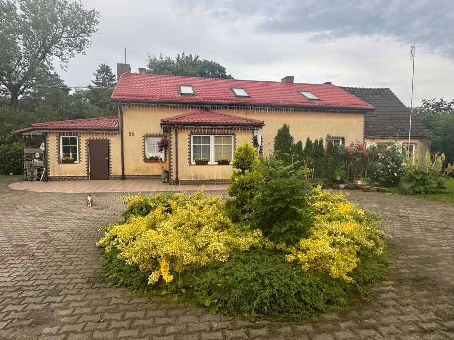 Dom Koszanowo Bez Po rednika 103 M dom-koszanowo-bez-po-rednika-103-m