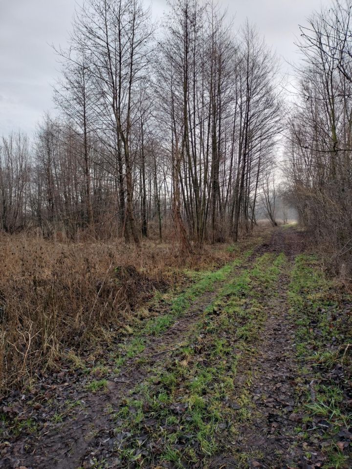 Działka rolno-budowlana Milewko