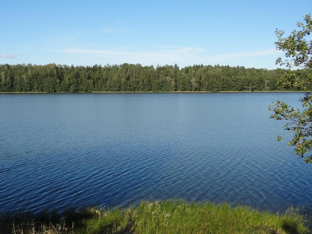 Działka budowlana Jędrychowo Rodowo. Zdjęcie 7
