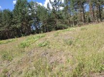 Działka budowlana Stany Kopanina, ul. Kopanina. Zdjęcie 1