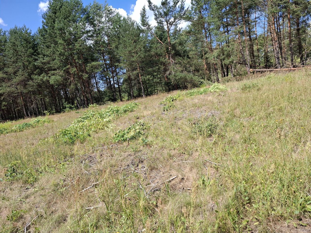 Działka budowlana Stany Kopanina, ul. Kopanina. Zdjęcie 2