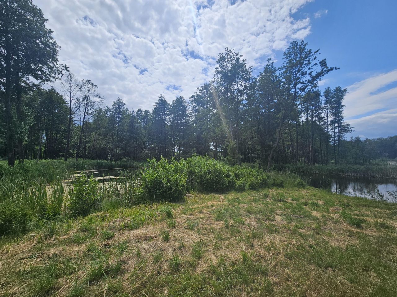 Działka rolno-budowlana Żałe. Zdjęcie 4