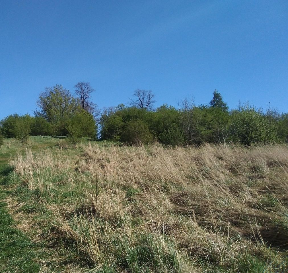 Mieszkanie 3-pokojowe Świdnica. Zdjęcie 28