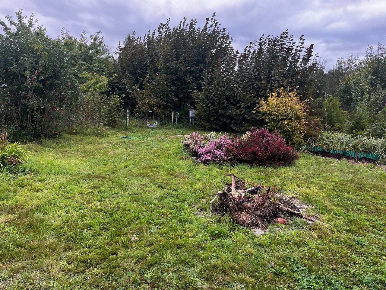 Działka rekreacyjna Zielona Góra Nowy Kisielin, ul. Stary Kisielin-Wiosenna. Zdjęcie 4