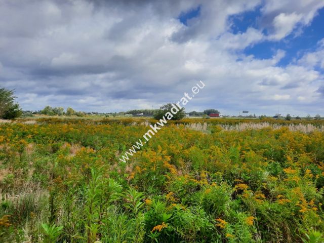 Działka inwestycyjna Puchały. Zdjęcie 1