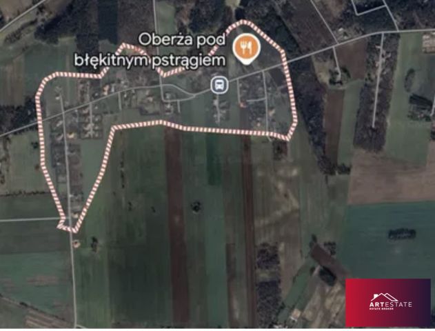 Działka budowlana Borchówka. Zdjęcie 2