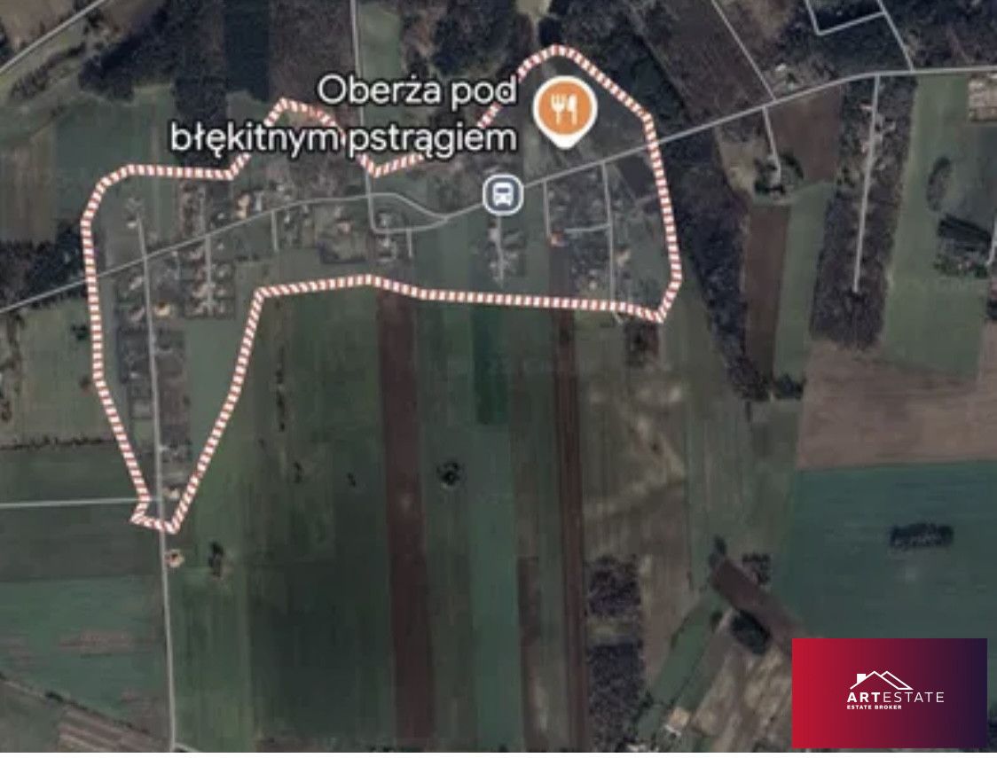 Działka budowlana Borchówka. Zdjęcie 2