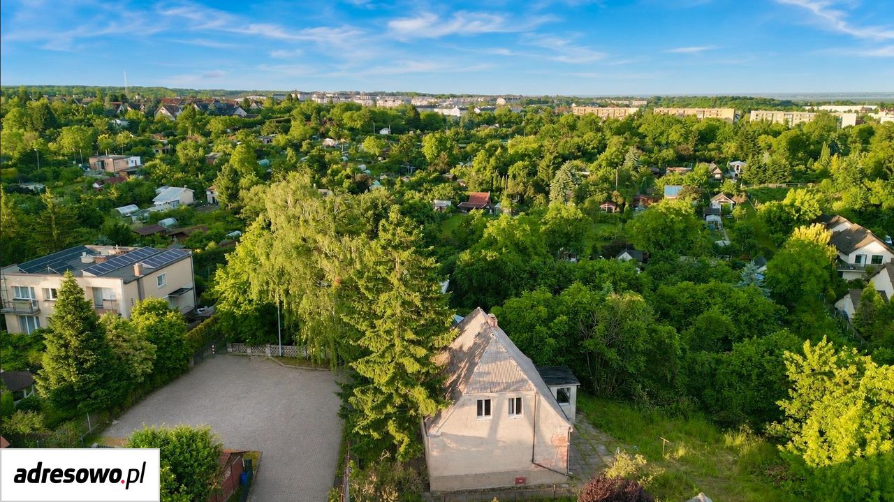 Zdjęcie 3