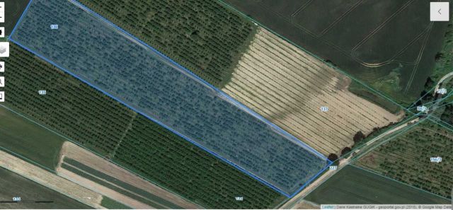 Działka rolna Marcinowo. Zdjęcie 1