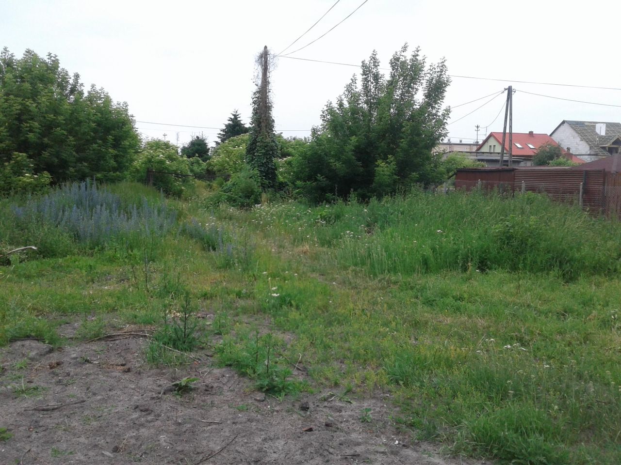 Działka budowlana Toruń Mokre, ul. Andrzeja Sobkowiaka. Zdjęcie 4