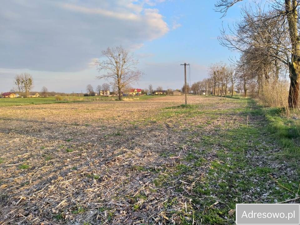 Działka budowlana Zieleniec. Zdjęcie 3