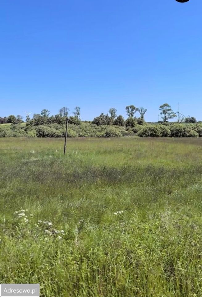 Działka budowlana Maszewko. Zdjęcie 3