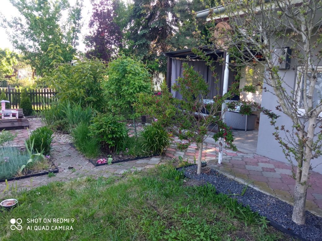 Działka rod Ostrów Wielkopolski, ul. Kaliska. Zdjęcie 8