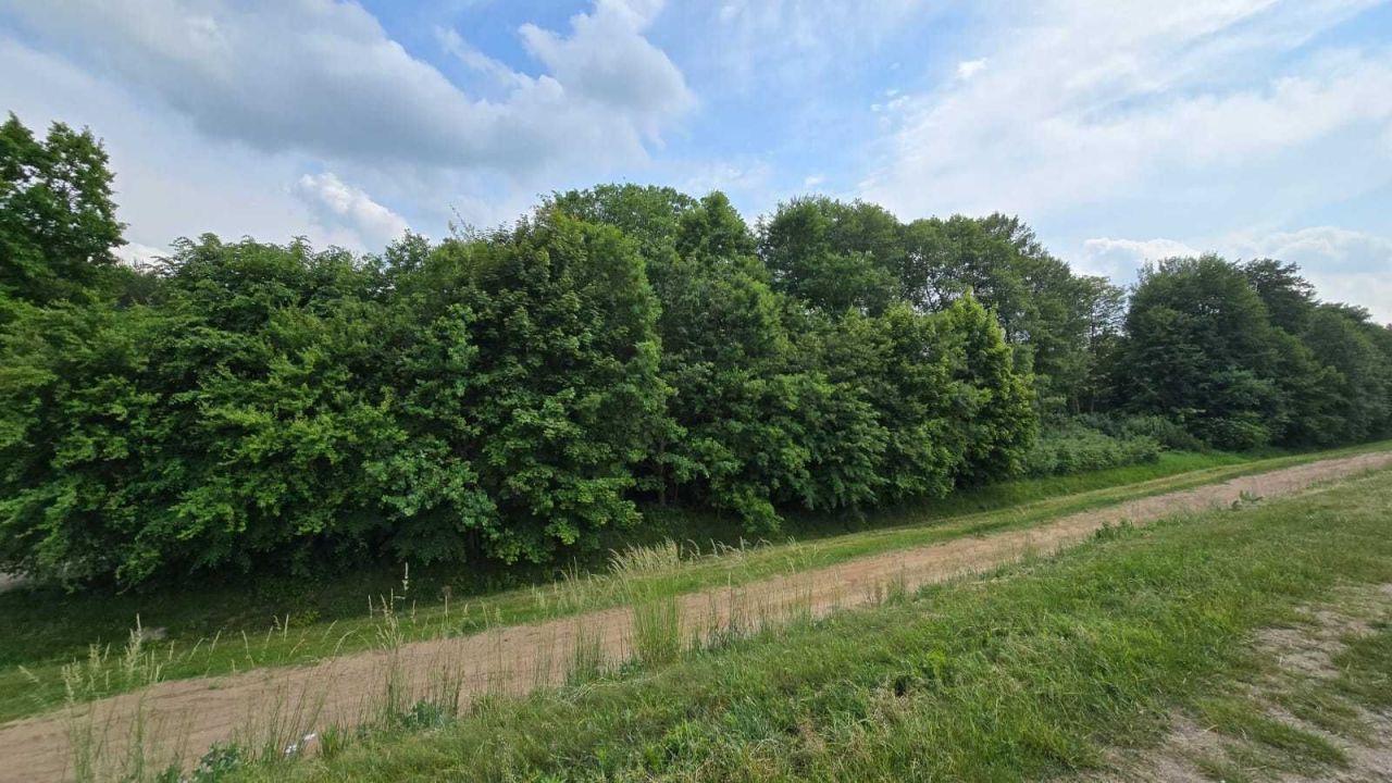 Działka budowlana Arciechów. Zdjęcie 3