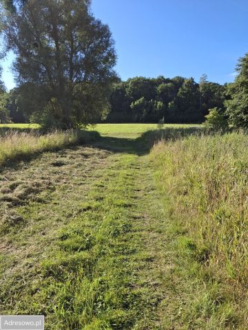 Działka rolna Pleśna. Zdjęcie 1