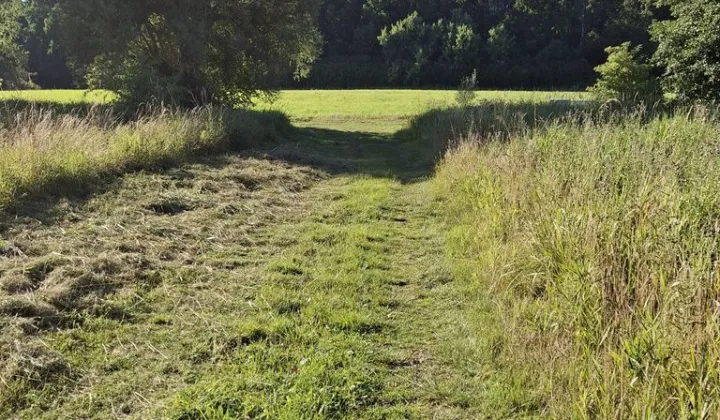 Działka rolna Pleśna