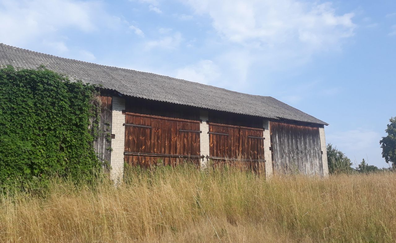 Działka rolno-budowlana Nowy Orzechów. Zdjęcie 3