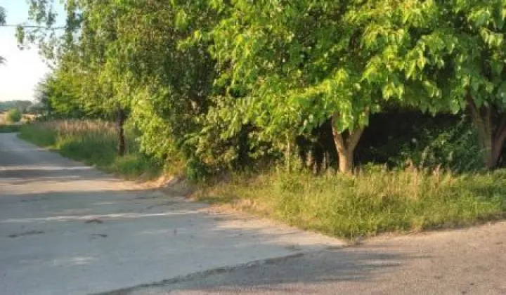 Działka budowlana Panieńszczyzna