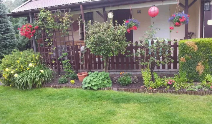 Działka rod Konin, ul. Świętojańska