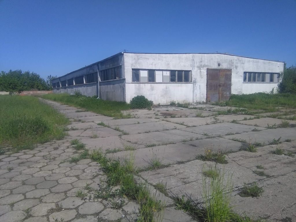 Hala/magazyn Kopytkowo