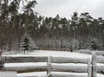 Działka budowlana Jedlicze B, ul. Józefa Bema. Zdjęcie 2