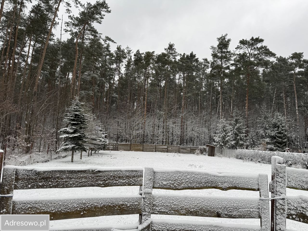 Działka budowlana Jedlicze B, ul. Józefa Bema. Zdjęcie 3