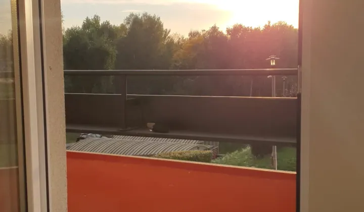 Mieszkanie 2-pokojowe Wodzisław Śląski, ul. Przemysława