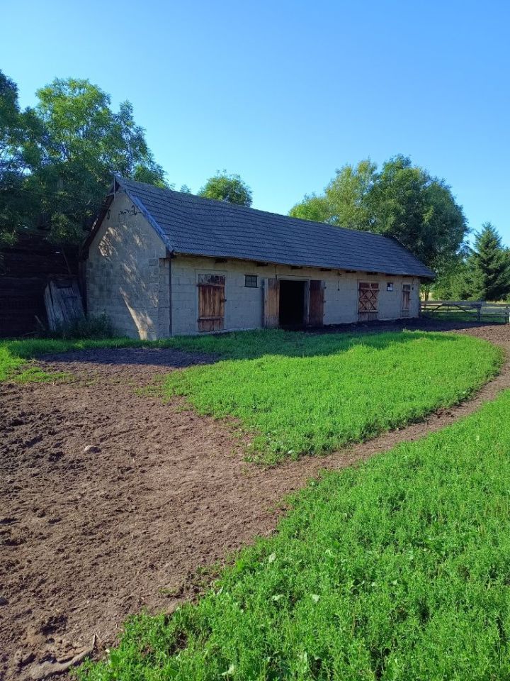 Działka siedliskowa Załuskie Kościelne. Zdjęcie 6