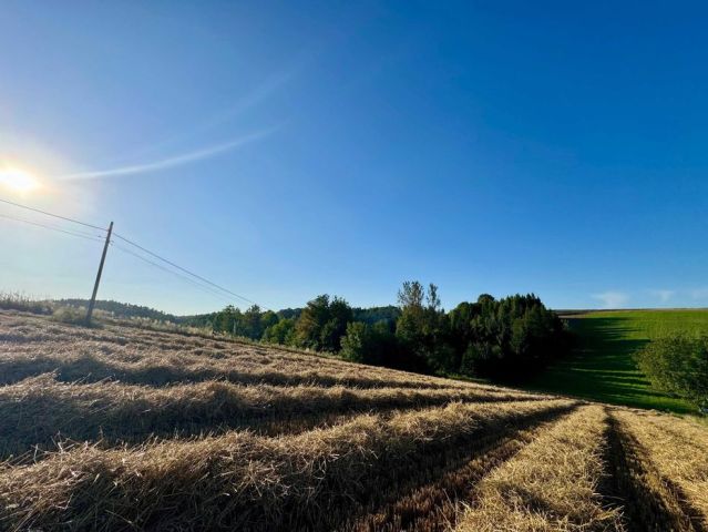 Działka budowlana Poręba Laskowska. Zdjęcie 1
