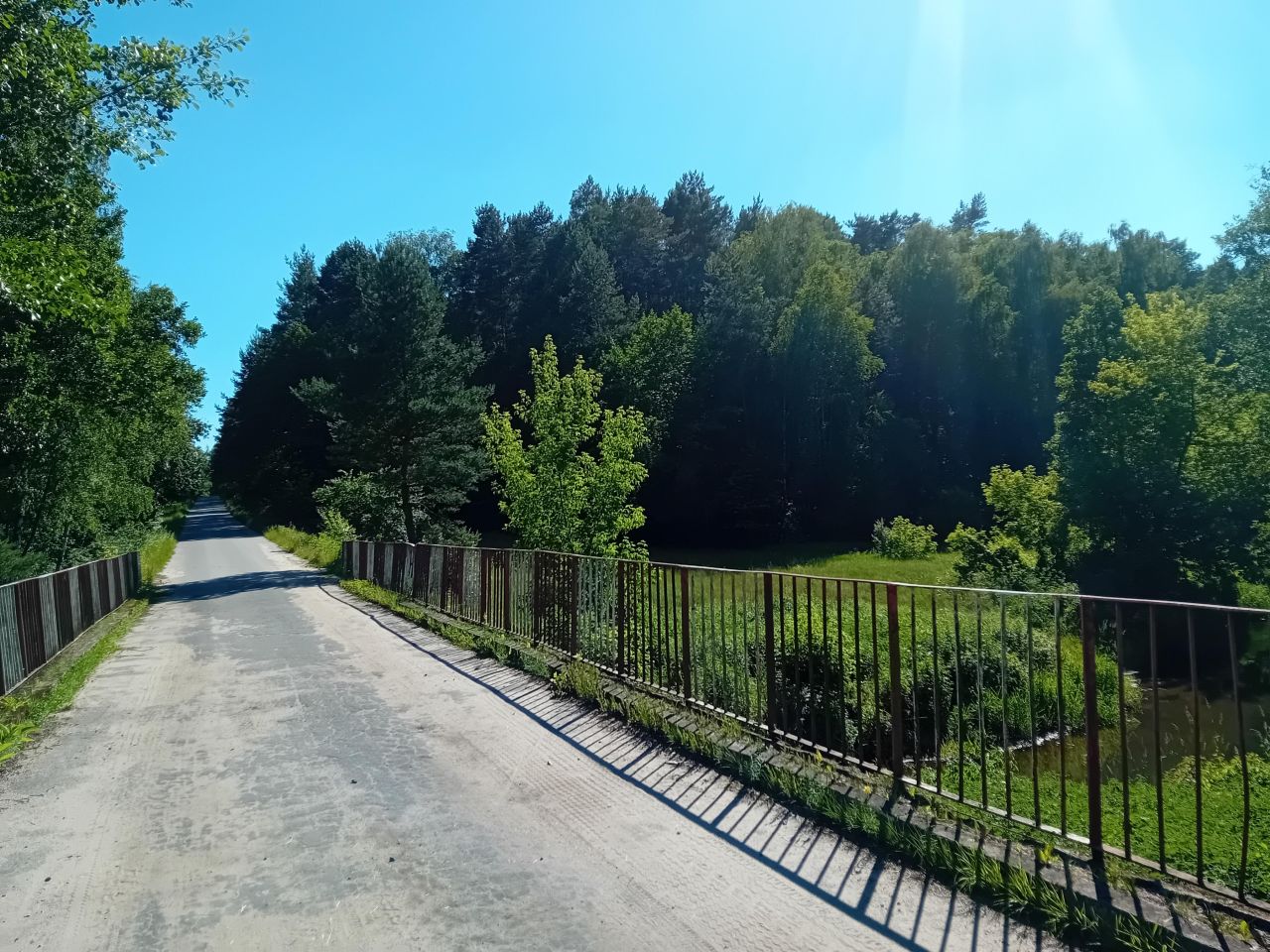 Działka leśna Jabłonowiec. Zdjęcie 4
