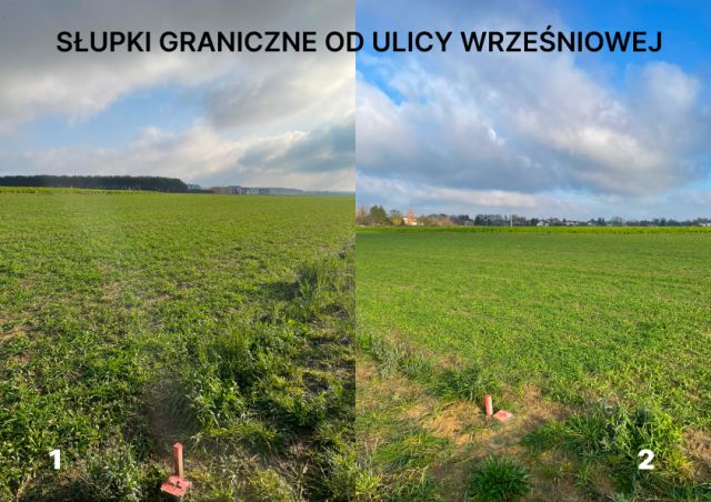 Działka rolna Łubianka, ul. Wrześniowa. Zdjęcie 4