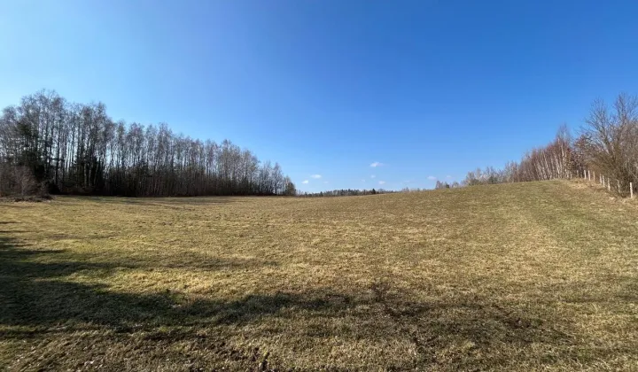 Działka budowlana Kozia Góra, ul. Kasztanowa