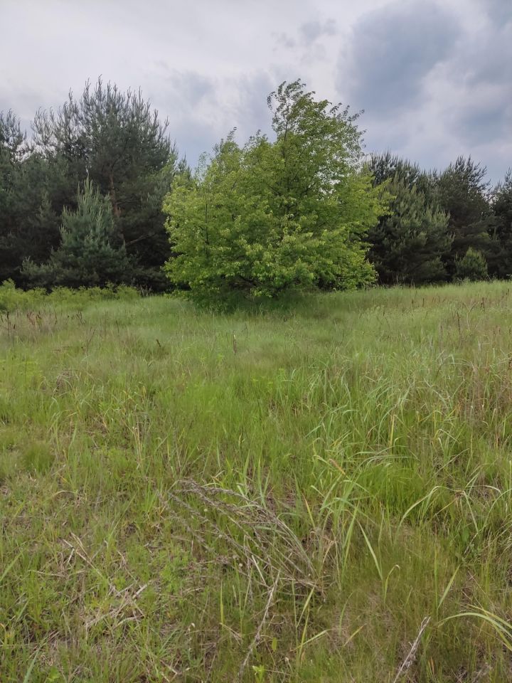 Działka budowlana Koty, ul. Potępska. Zdjęcie 2