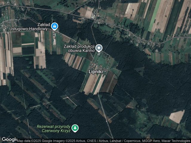 Działka rolno-budowlana Lipniki. Zdjęcie 1