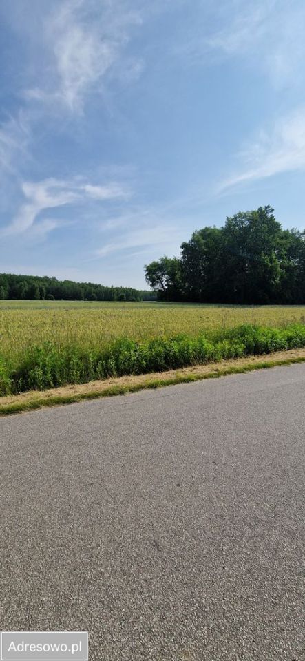 Działka budowlana Rębków, ul. Spacerowa. Zdjęcie 4