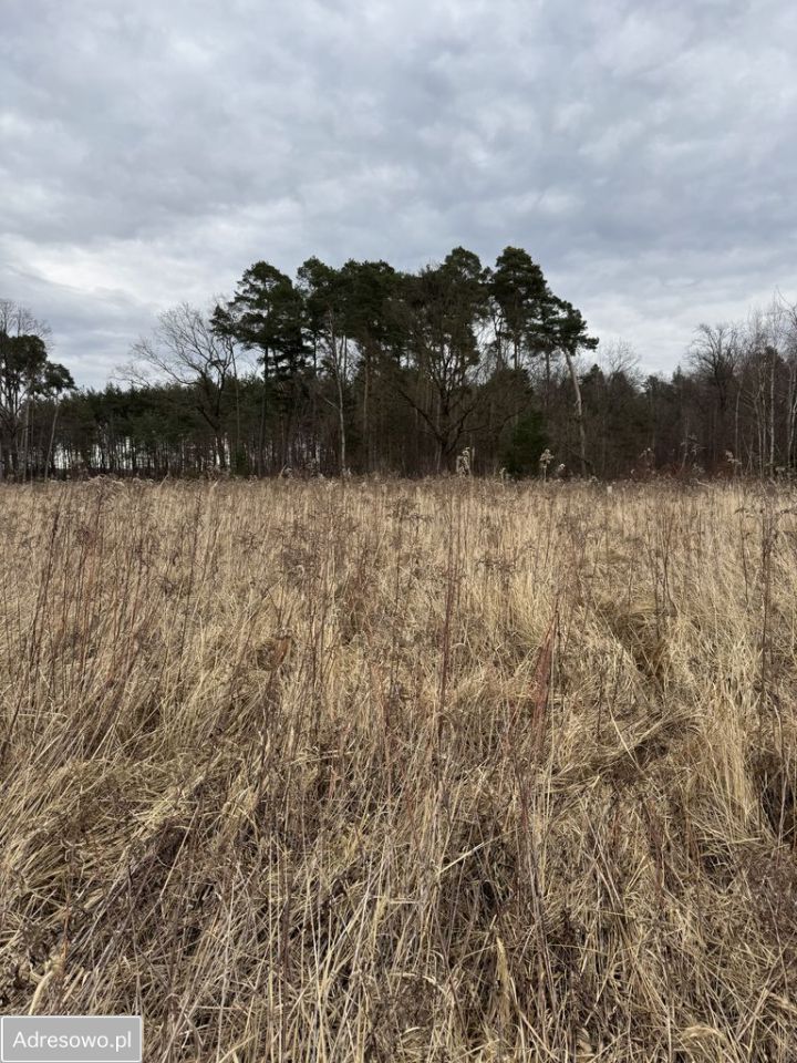 Działka budowlana Dębnik. Zdjęcie 18