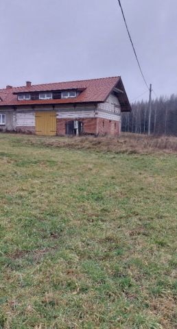 Działka siedliskowa Radostowo. Zdjęcie 1