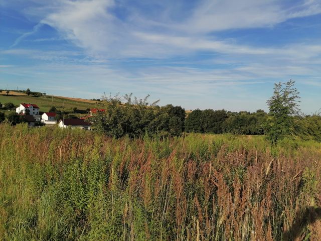 Działka budowlana Cianowice Pod Skałkami, ul. Słoneczna. Zdjęcie 10