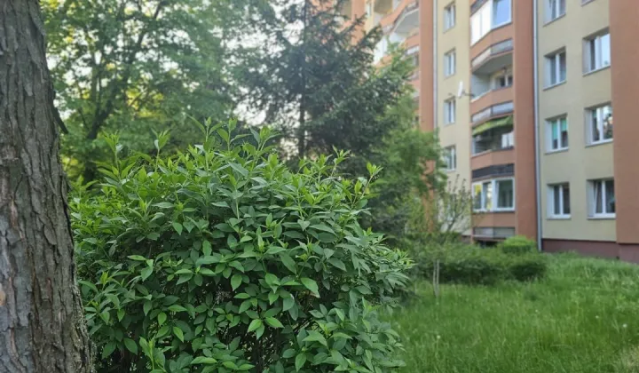 Mieszkanie 3-pokojowe Kraków Prądnik Czerwony, ul. Mariana Słoneckiego