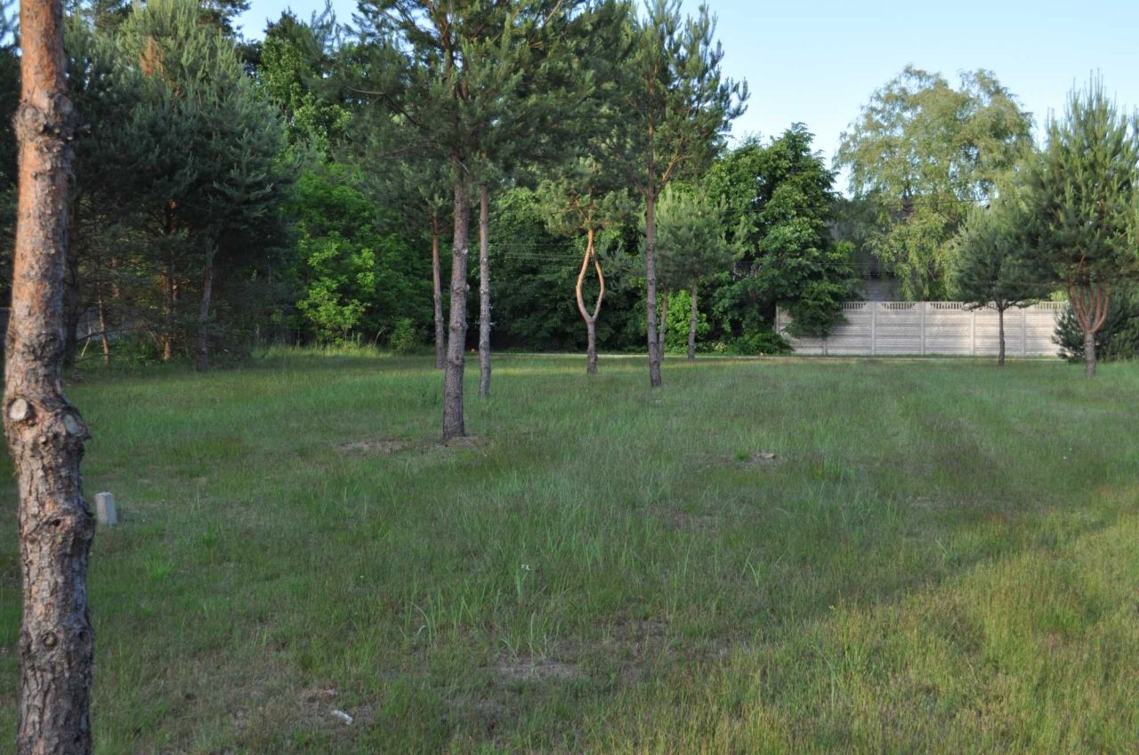 Działka budowlana Słopiec Rządowy-Kolonia. Zdjęcie 8
