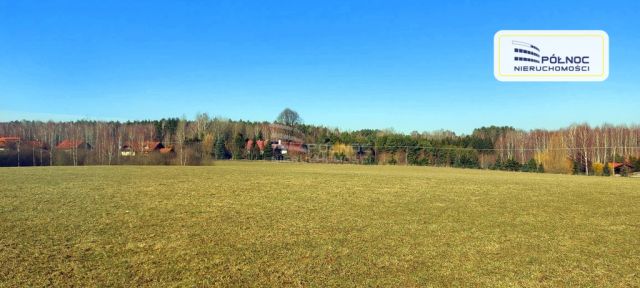 Działka rolna Marcinkowo. Zdjęcie 1