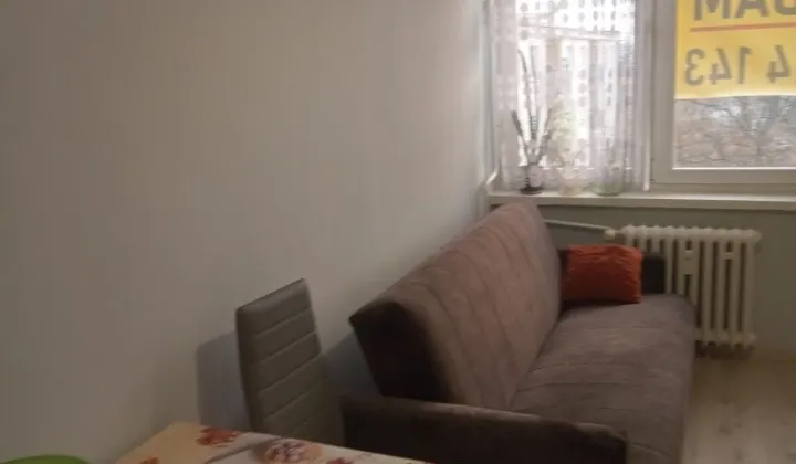 Mieszkanie 1-pokojowe Włocławek Centrum