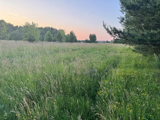 Działka budowlana Wołomin Mironowe Górki. Zdjęcie 5