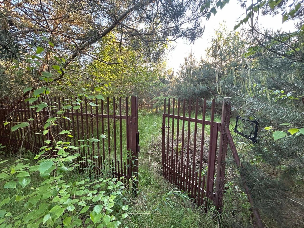 Działka budowlana Jerwonice. Zdjęcie 3